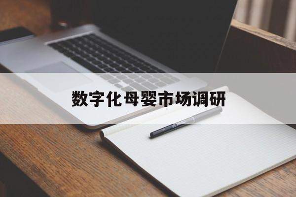 图木舒克市数字化母婴市场调研(数字化母婴市场调研报告)