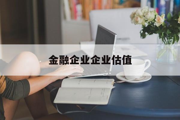 图木舒克市金融企业企业估值(最新企业估值怎么填)